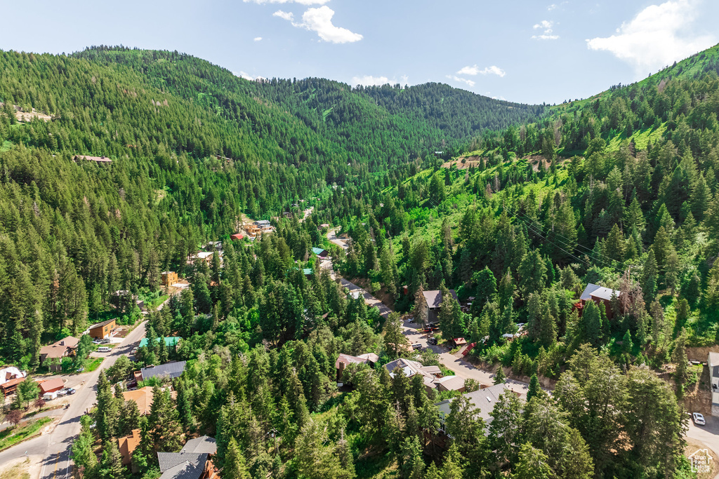Drone / aerial view of a forest and a mountainous background