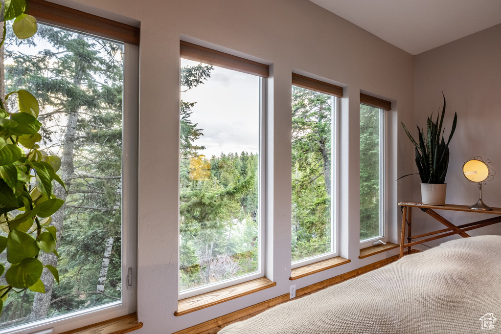 Bedroom featuring multiple windows and hardwood / wood-style flooring