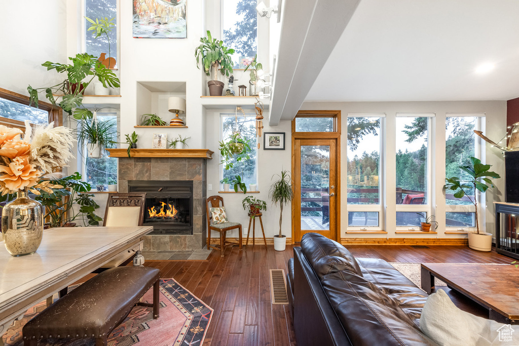 Living room featuring plenty of natural light, a fireplace, and dark hardwood / wood-style flooring