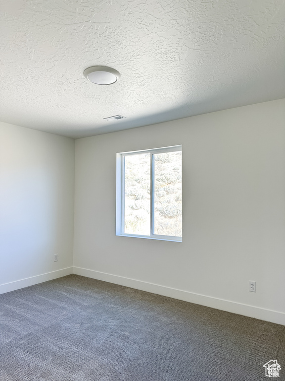 Unfurnished room with a textured ceiling and carpet