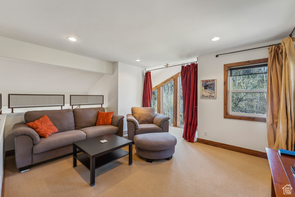 Living room featuring light carpet