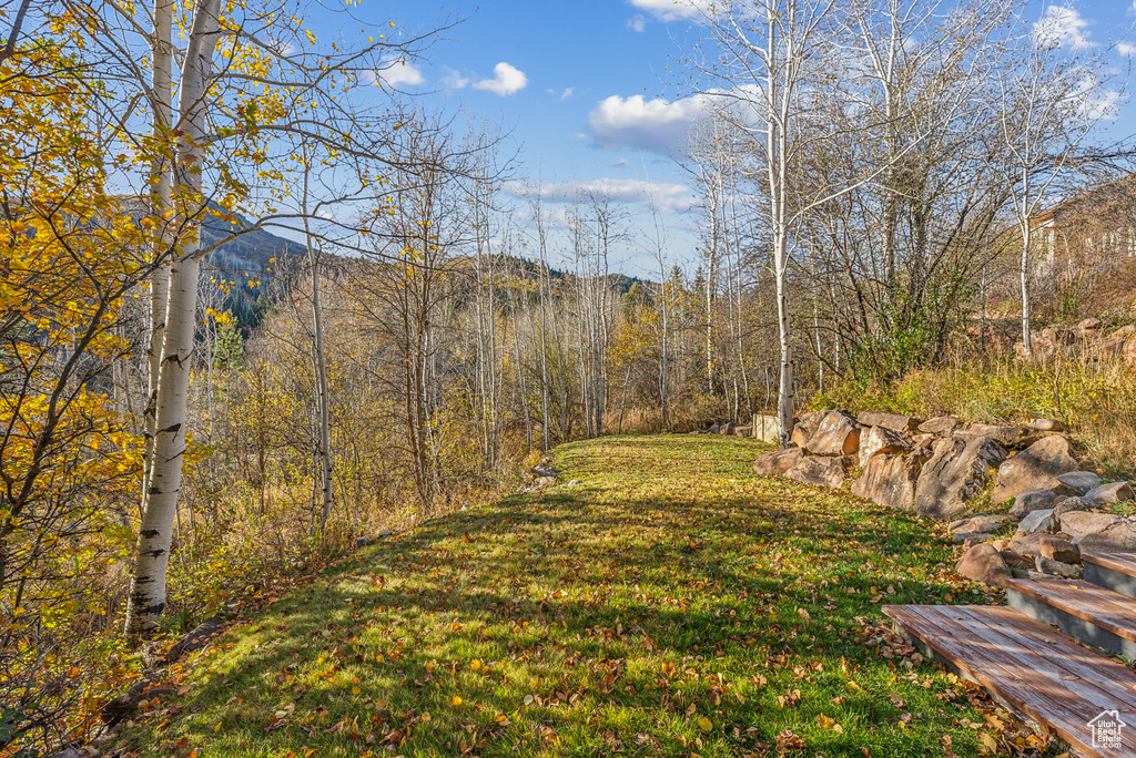 View of yard with a mountain view