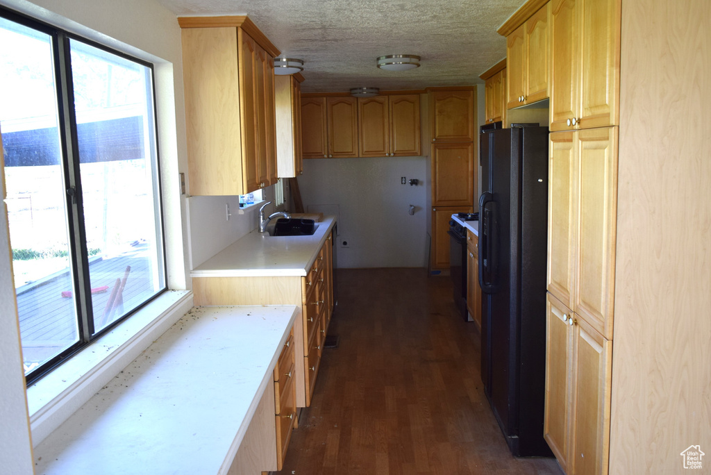 Kitchen featuring dark hardwood / wood-style flooring, sink, and black fridge