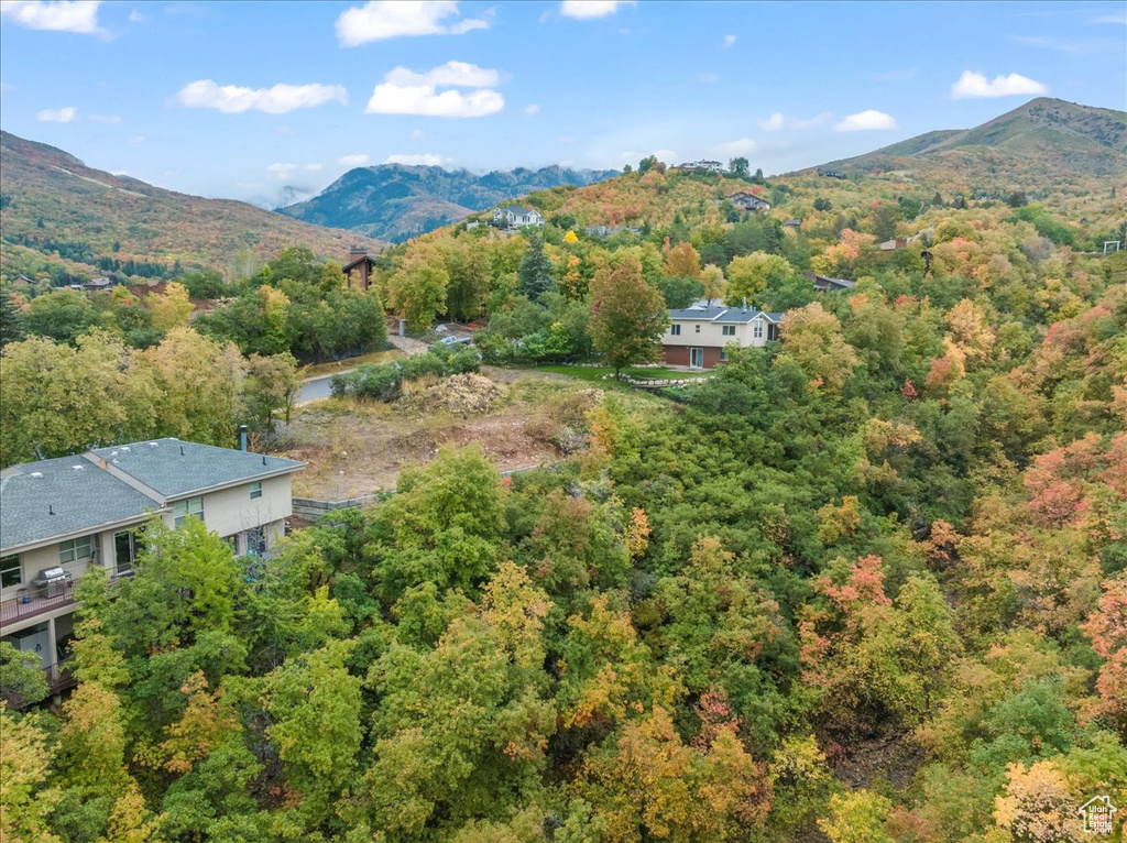 Drone / aerial view with a mountain view