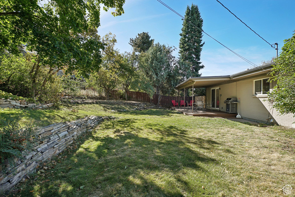 View of yard featuring a patio