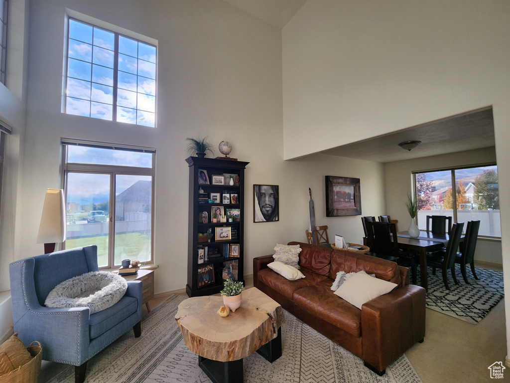 Carpeted living room with a towering ceiling and a wealth of natural light