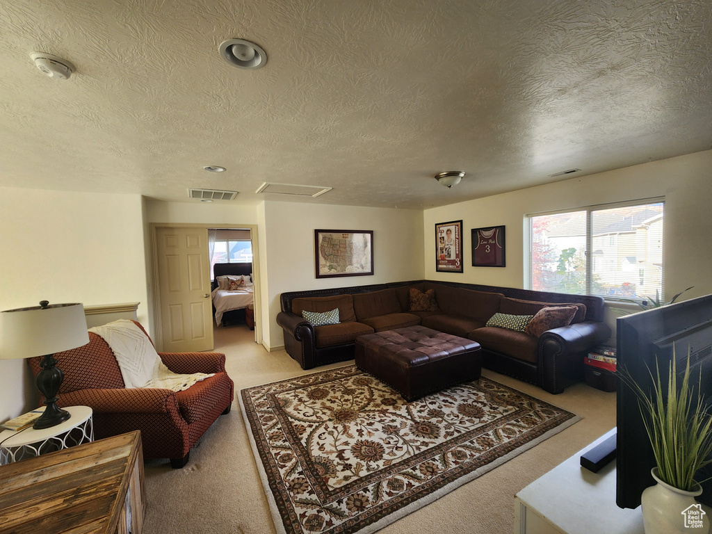 Carpeted living room featuring a textured ceiling
