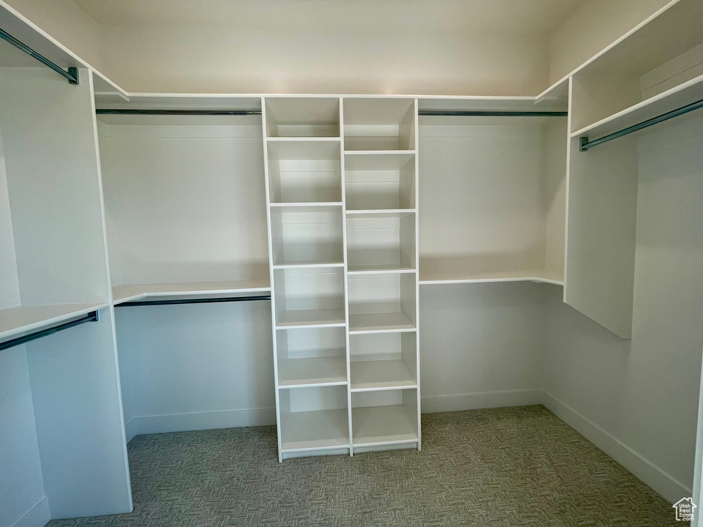 Walk in closet with carpet