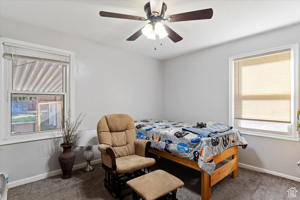 Bedroom with ceiling fan, multiple windows, and carpet floors