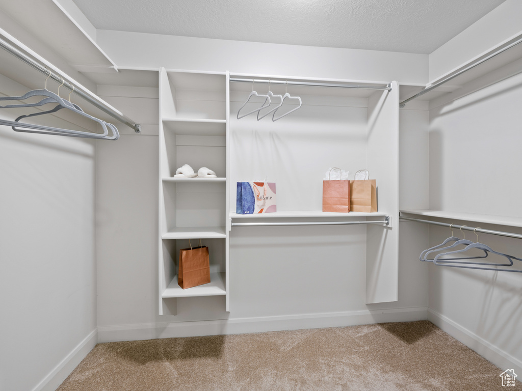 Walk in closet with carpet