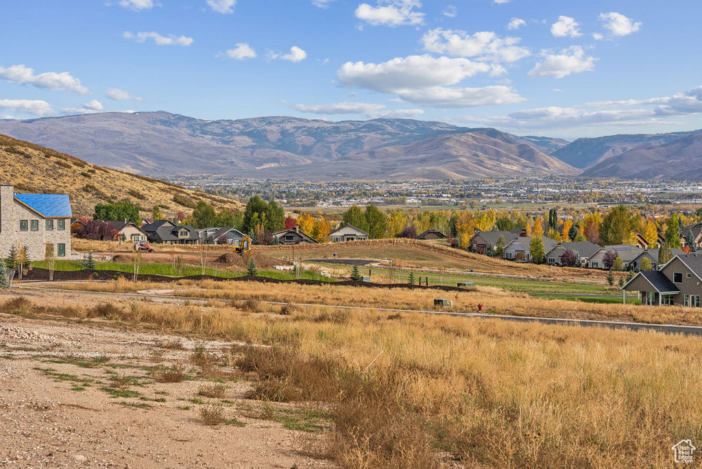 Mountain view