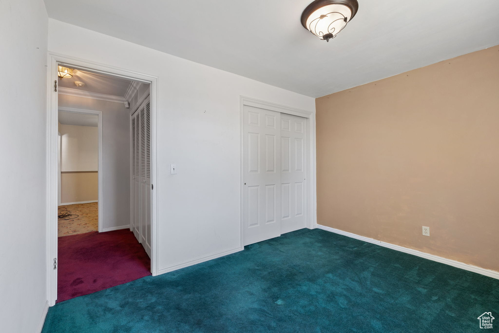 Unfurnished bedroom with a closet, ornamental molding, and dark colored carpet