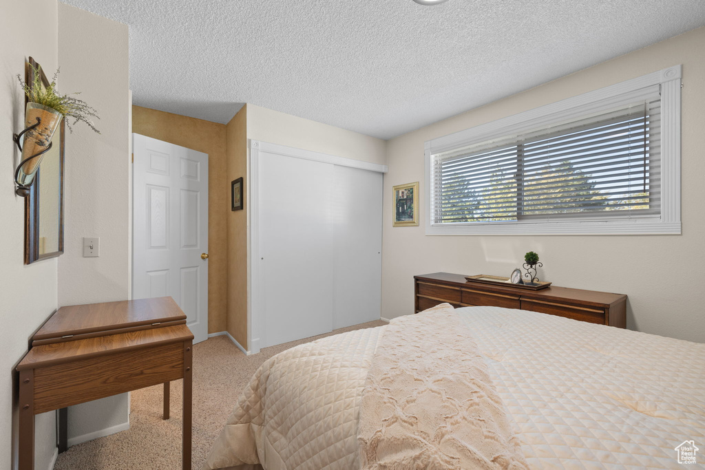 Bedroom featuring light carpet, a closet, and a textured ceiling