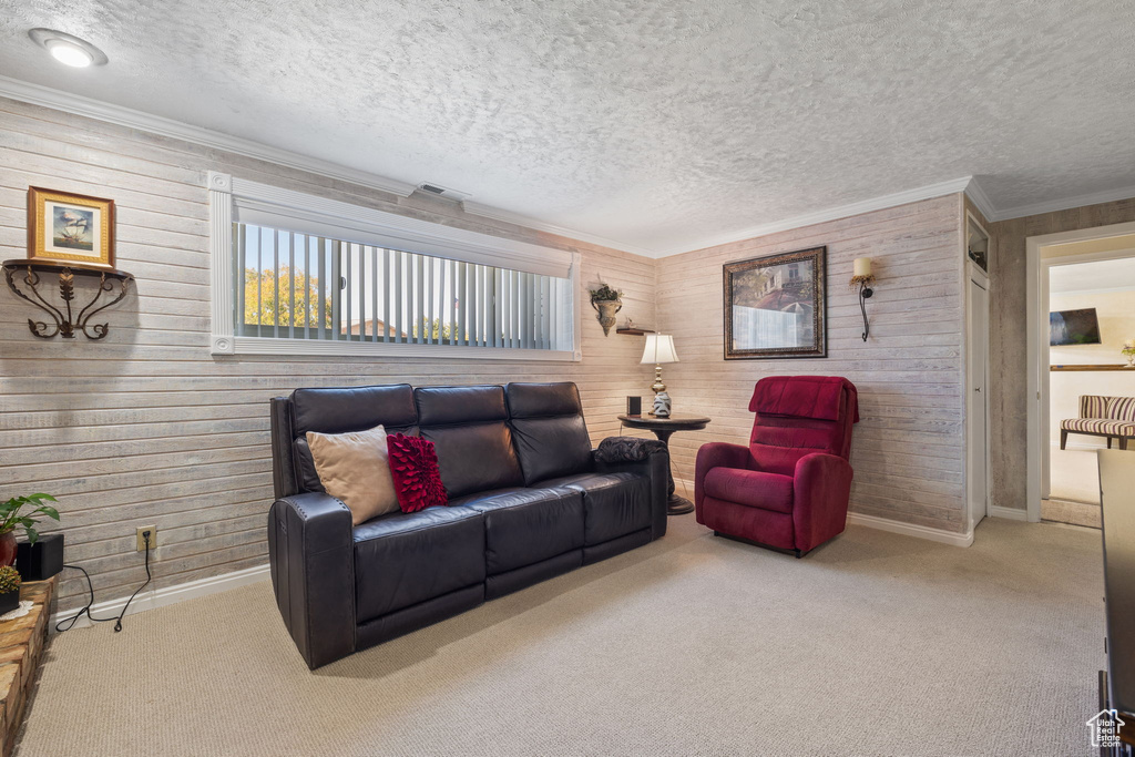 Living room featuring crown molding, a textured ceiling, wooden walls, and light colored carpet