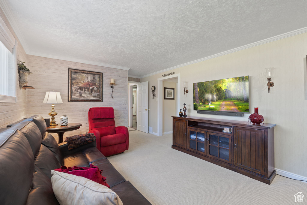 Carpeted living room with ornamental molding, a textured ceiling, and wooden walls