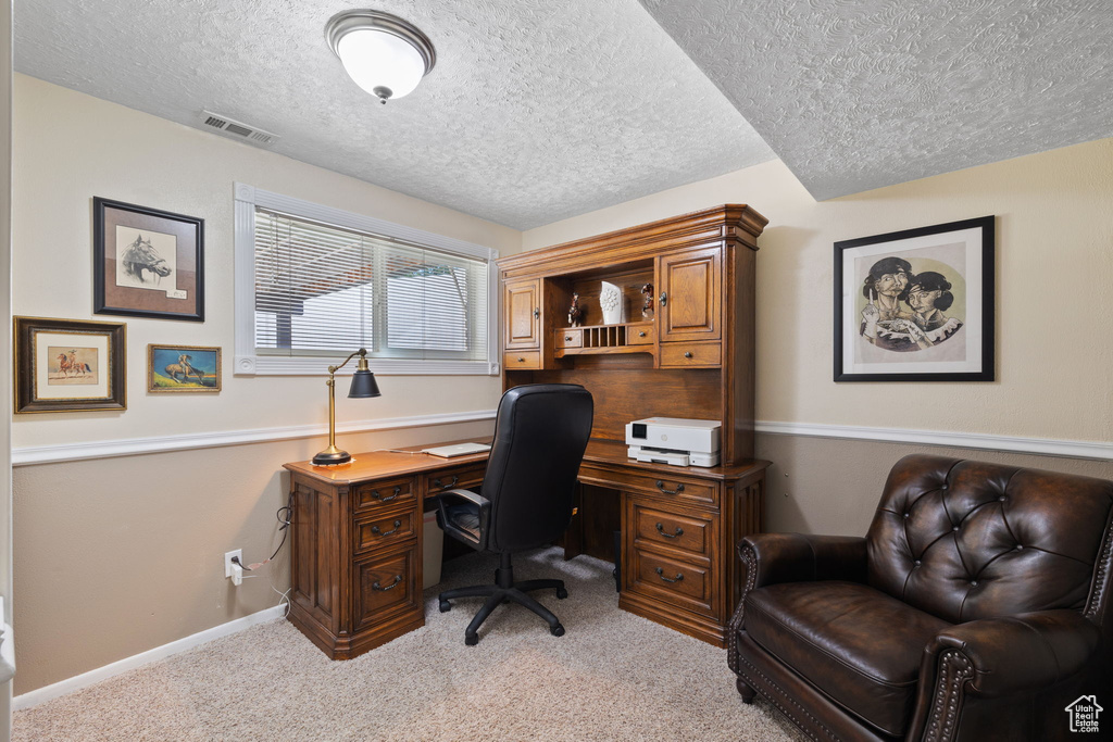 Carpeted home office with a textured ceiling