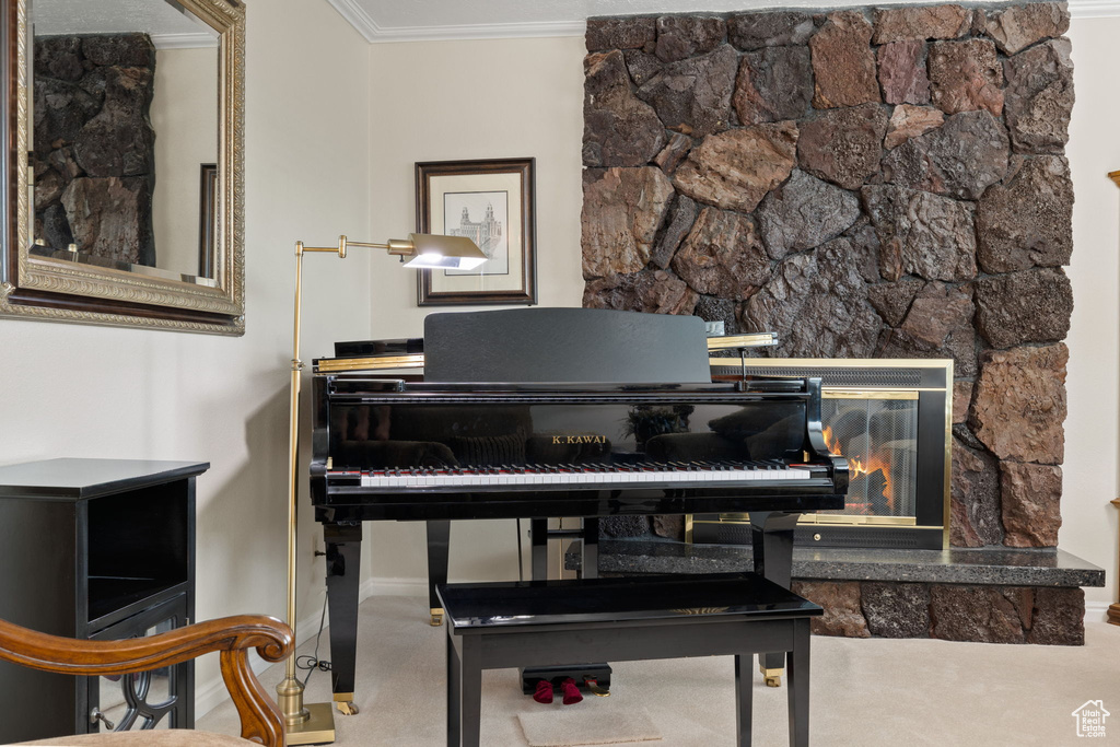 Misc room with a stone fireplace, ornamental molding, and carpet floors