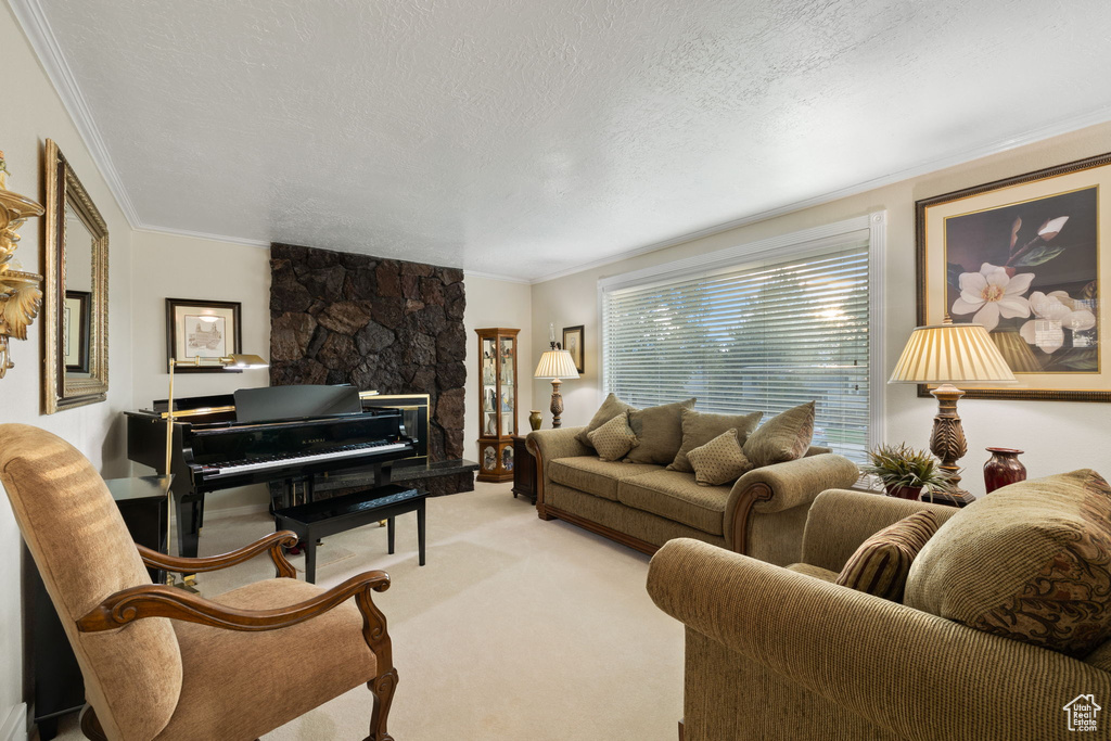 Living room with crown molding, a textured ceiling, and light colored carpet