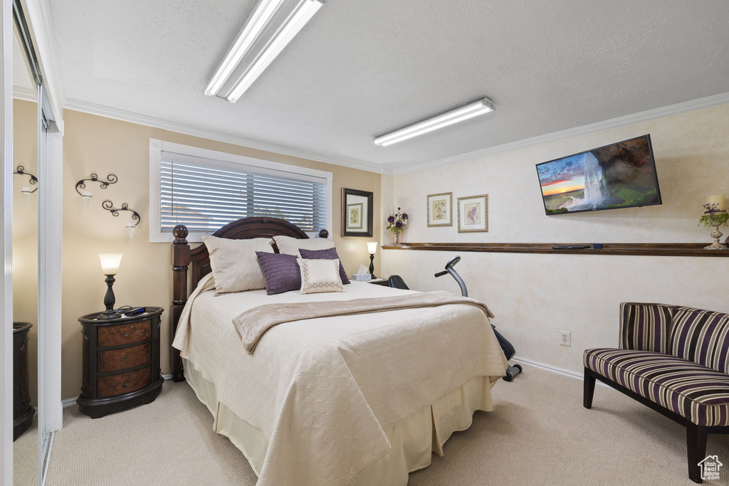 Carpeted bedroom with crown molding and a textured ceiling