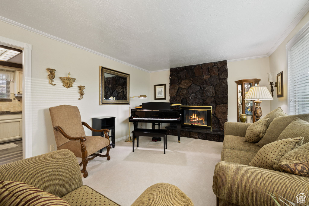 Living room featuring crown molding, light carpet, a fireplace, and a textured ceiling