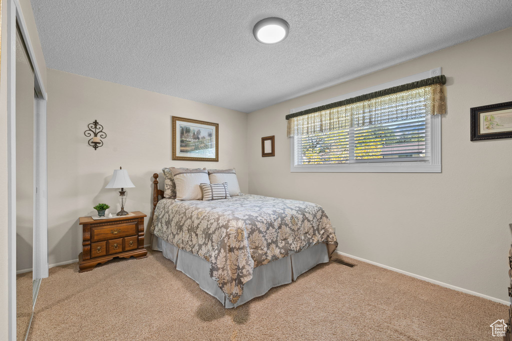 Carpeted bedroom with a closet and a textured ceiling