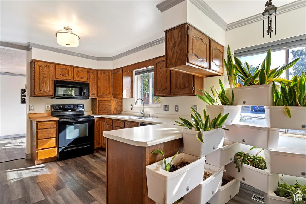 Kitchen with crown molding, black appliances, dark wood-type flooring, and sink