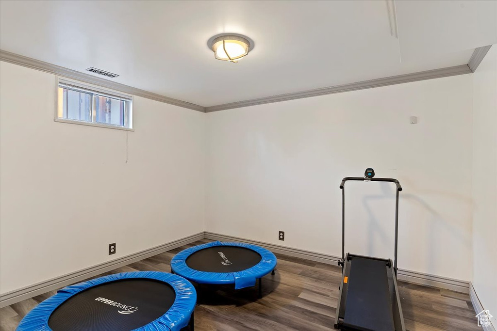 Workout area with ornamental molding and hardwood / wood-style flooring