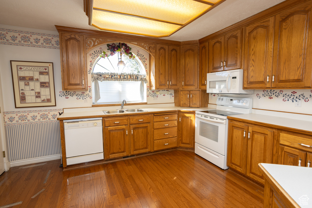 Kitchen with sink, dark hardwood / wood-style floors, and white appliances