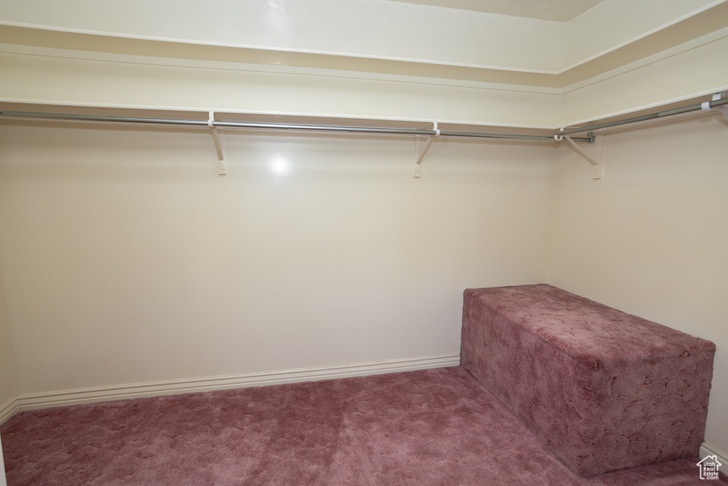 Spacious closet with carpet flooring