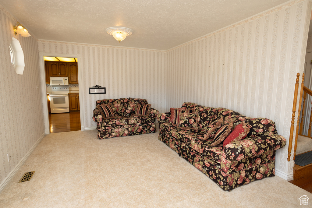 Carpeted living room with a textured ceiling