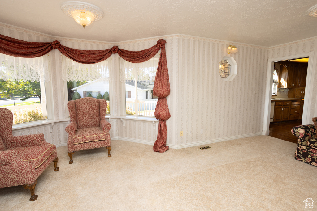 Sitting room with carpet and sink