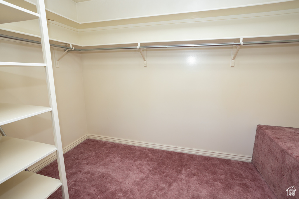 Spacious closet with carpet