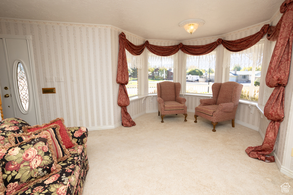 Sitting room featuring carpet