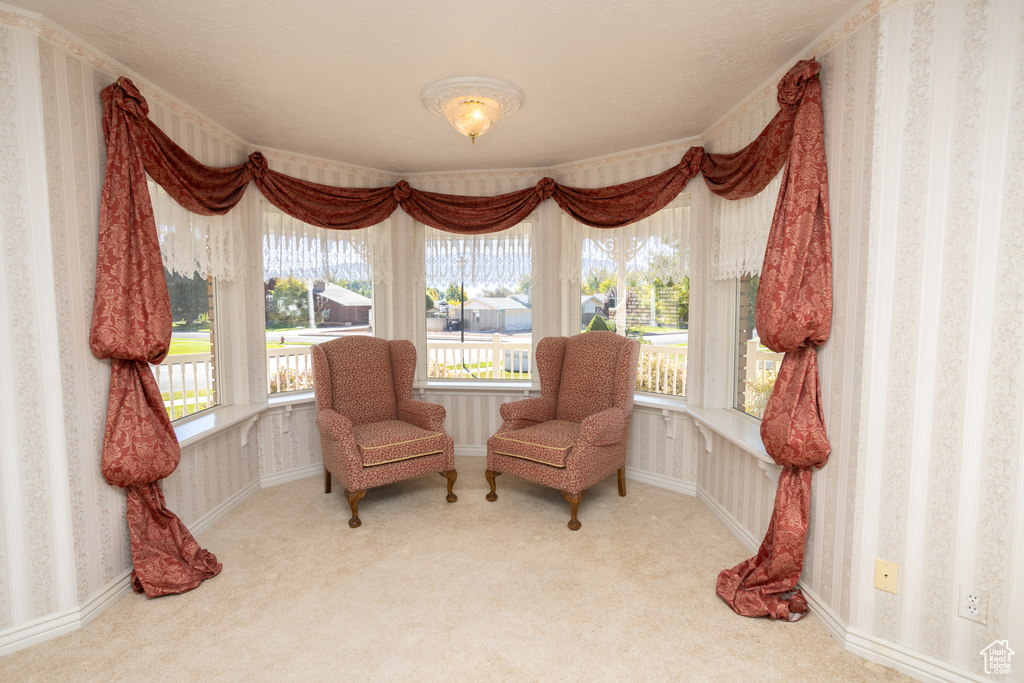 Living area with carpet flooring