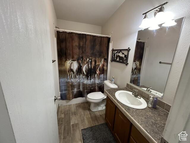 Bathroom with toilet, hardwood / wood-style flooring, vanity, and a shower with curtain