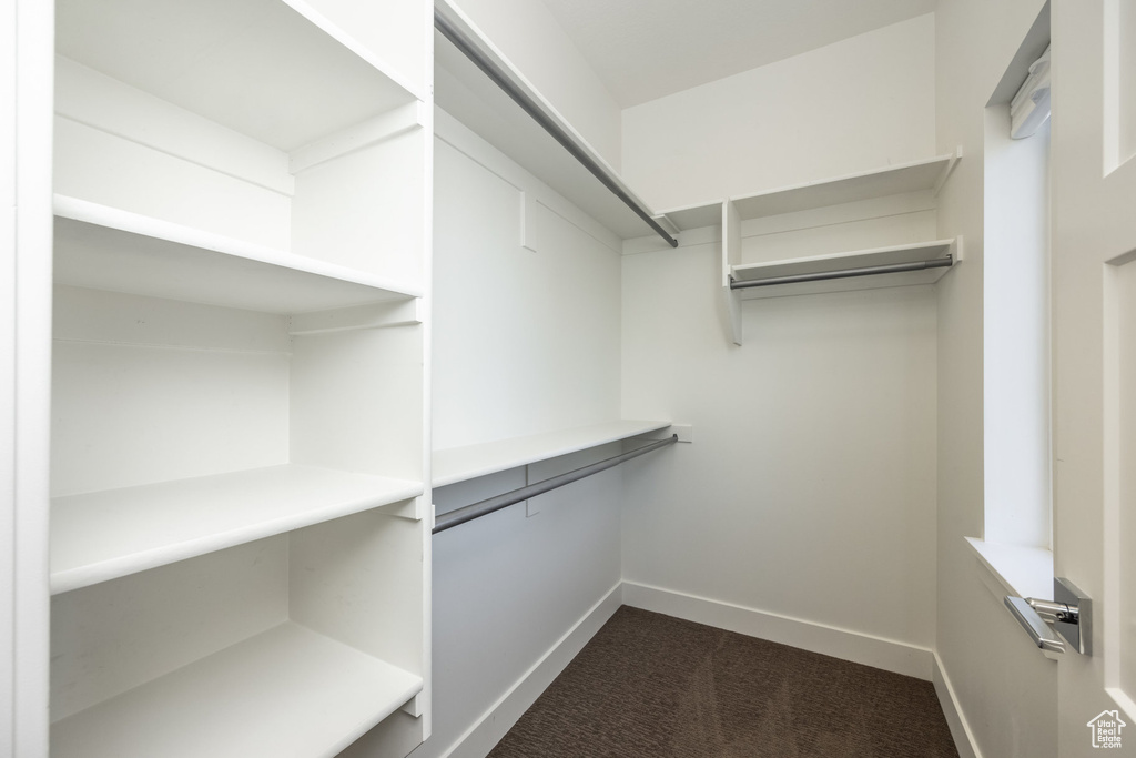 Spacious closet with dark carpet