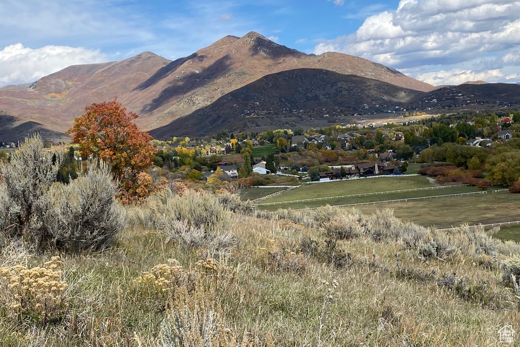 Mountain view