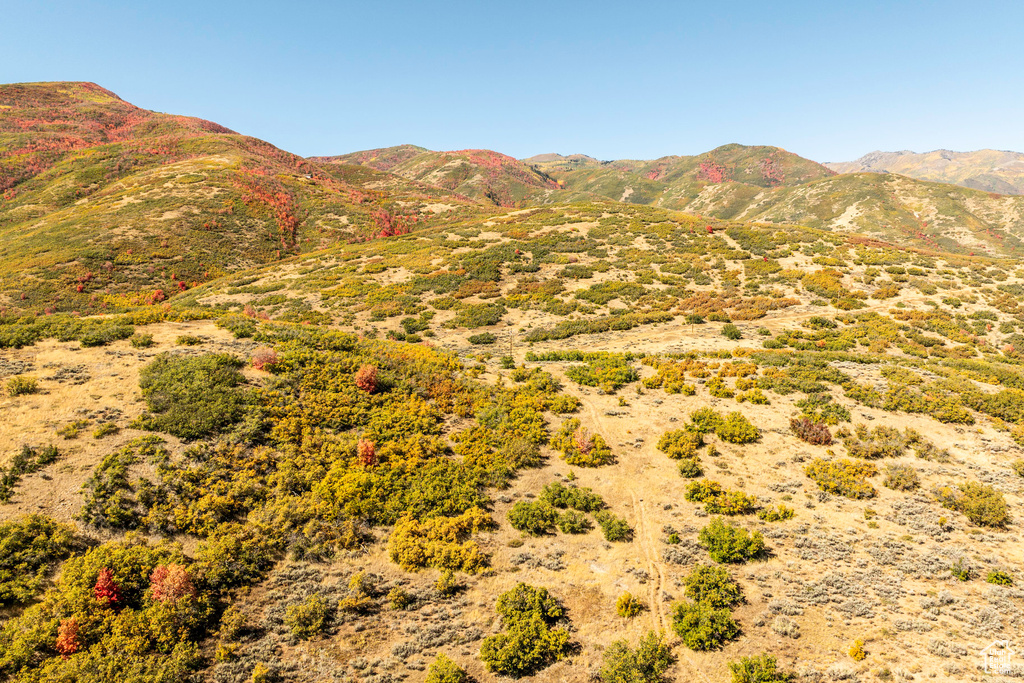 Property view of mountains