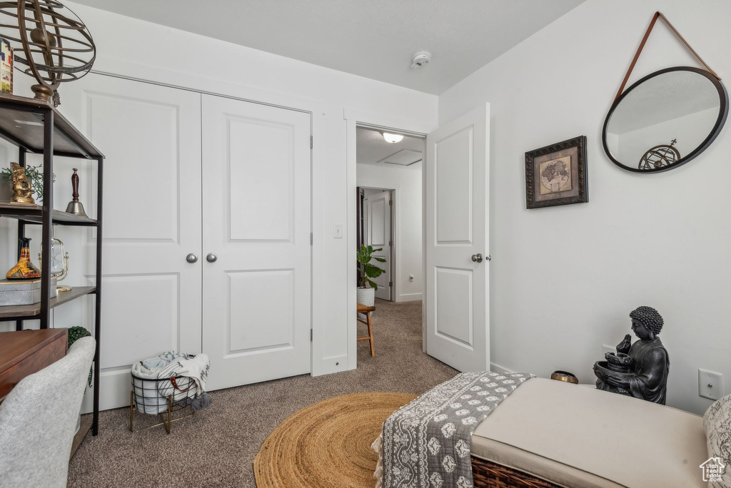 Bedroom with a closet and carpet floors