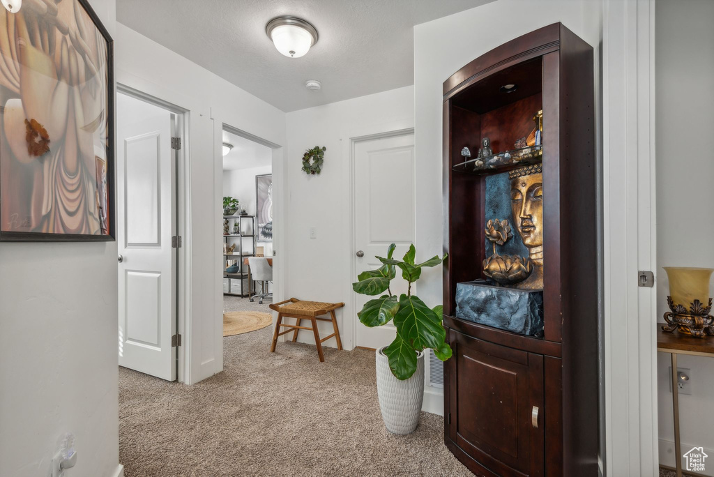 Hall featuring carpet flooring