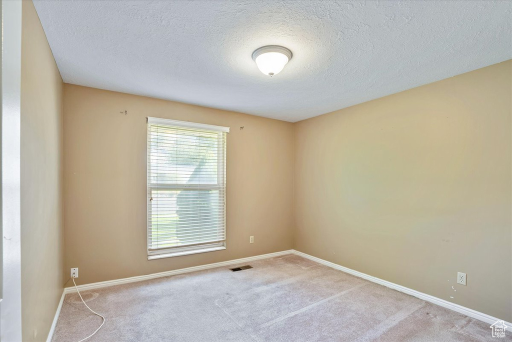 Unfurnished room featuring light carpet and a textured ceiling
