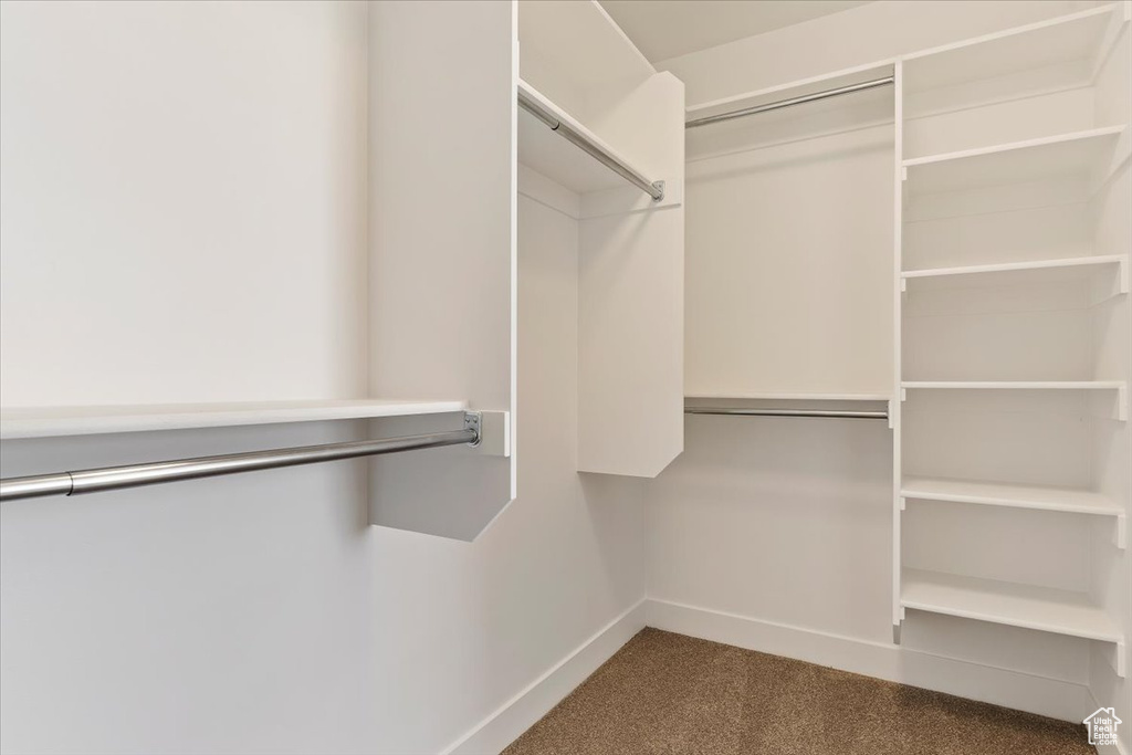 Spacious closet with carpet floors