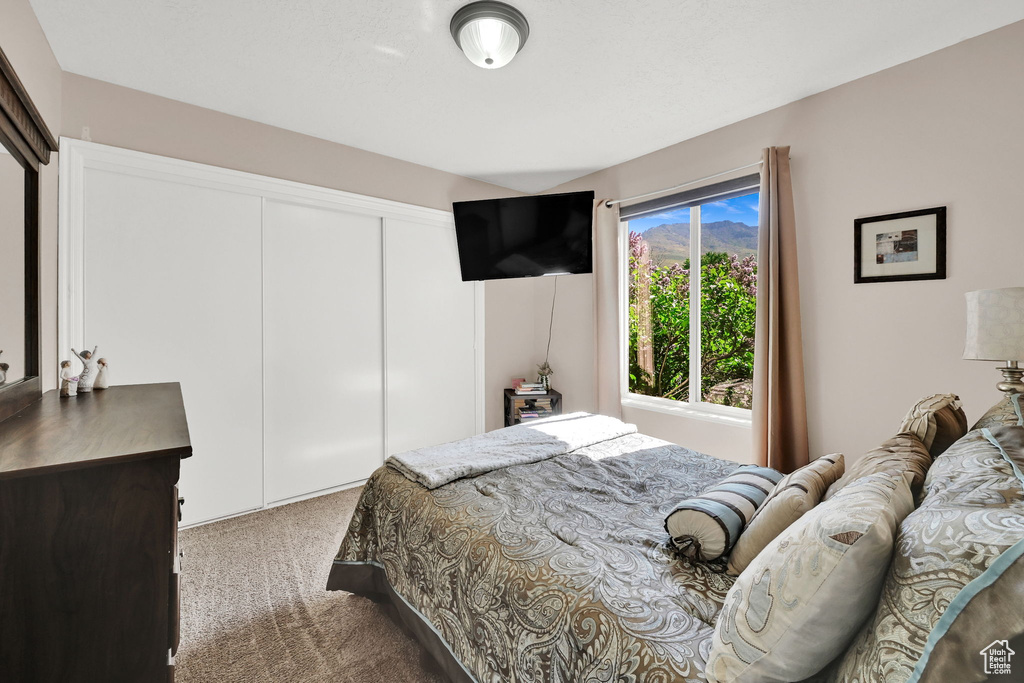 Bedroom featuring carpet and a closet