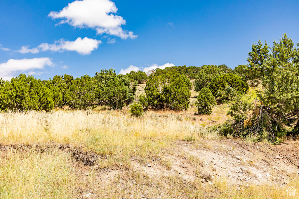 View of landscape