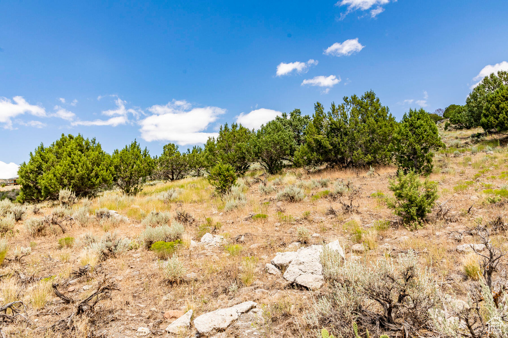 View of local wilderness with a rural view