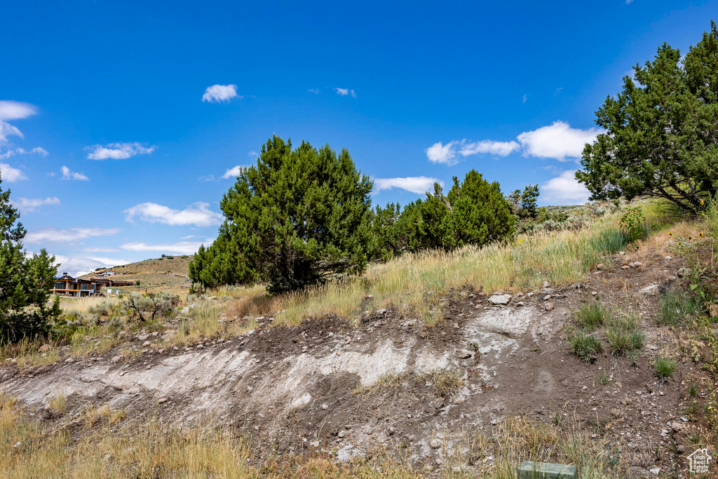 View of landscape