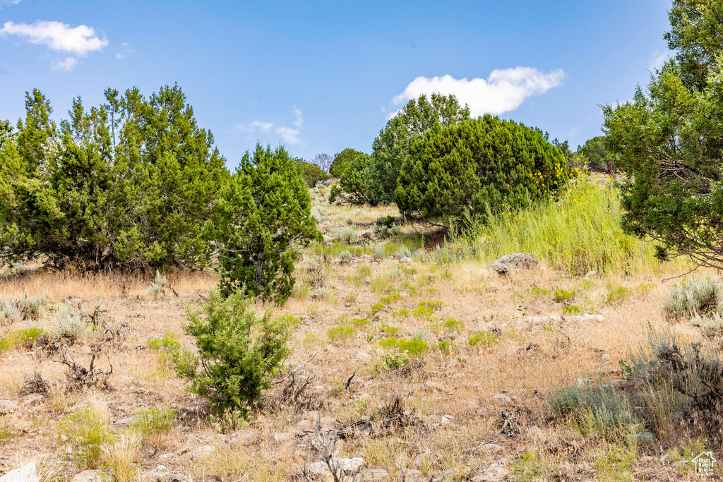 View of landscape