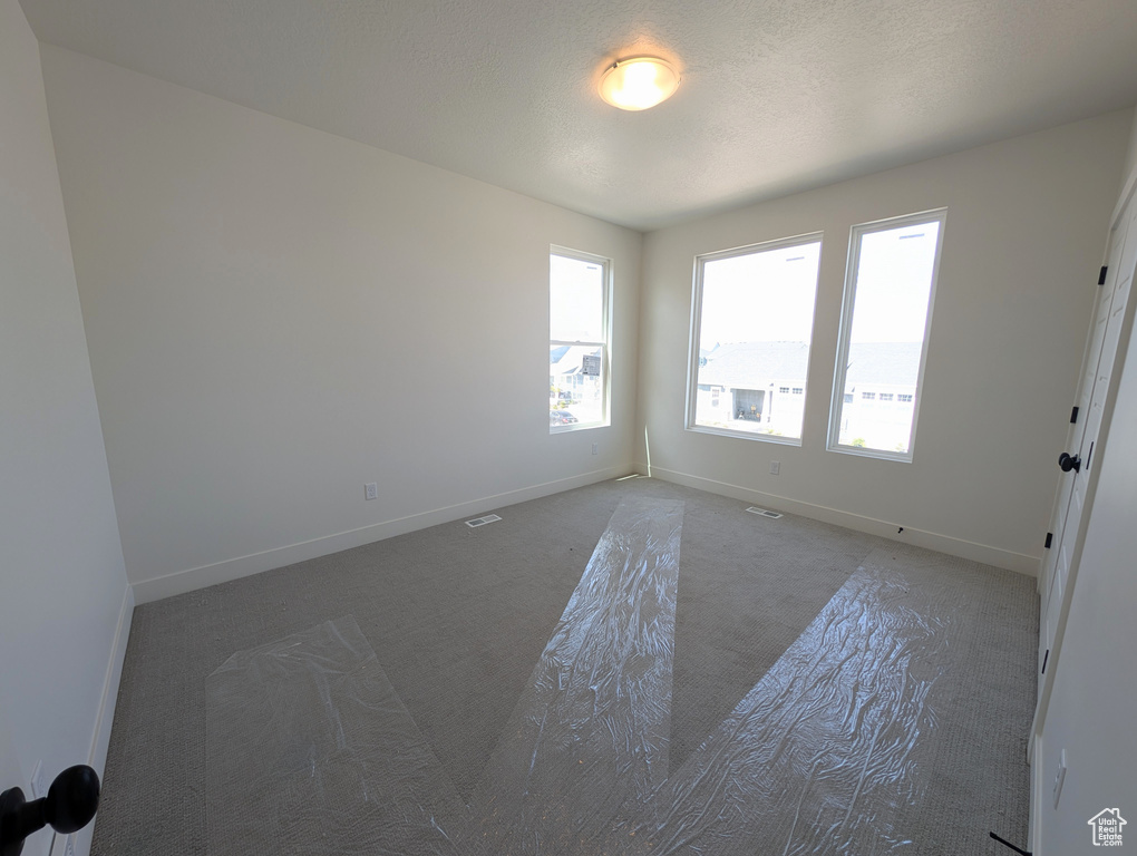 Spare room featuring baseboards, a wealth of natural light, and carpet