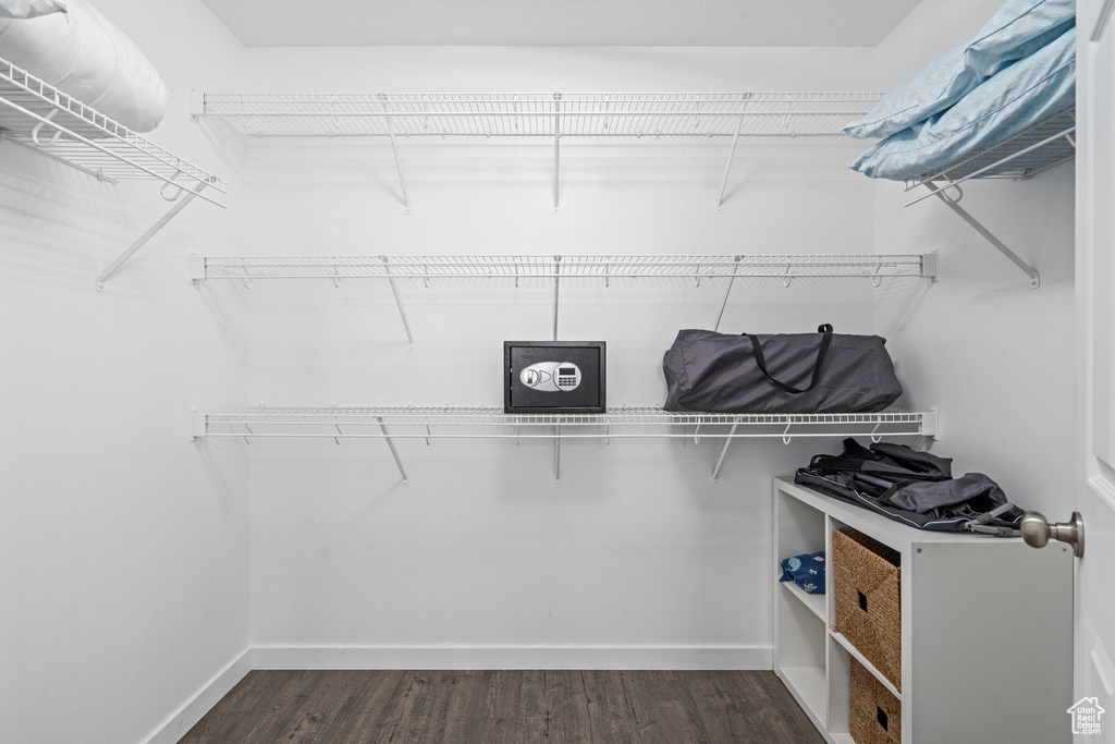 Walk in closet featuring dark hardwood / wood-style floors