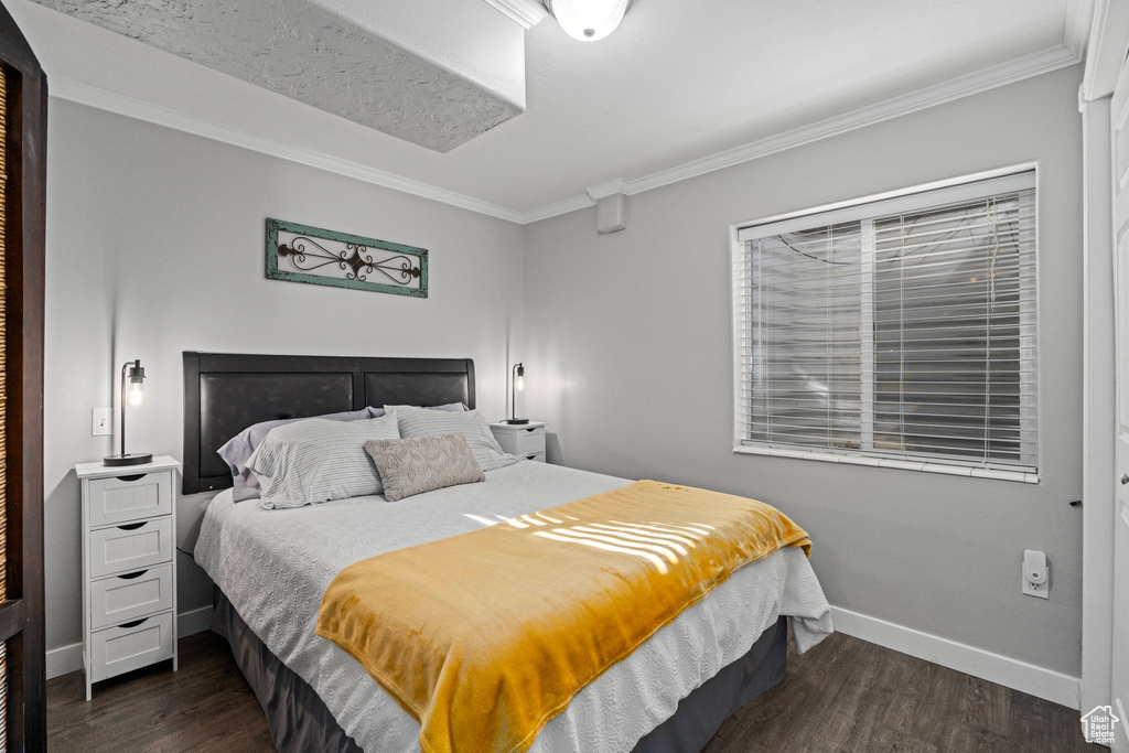 Bedroom featuring ornamental molding and dark hardwood / wood-style flooring